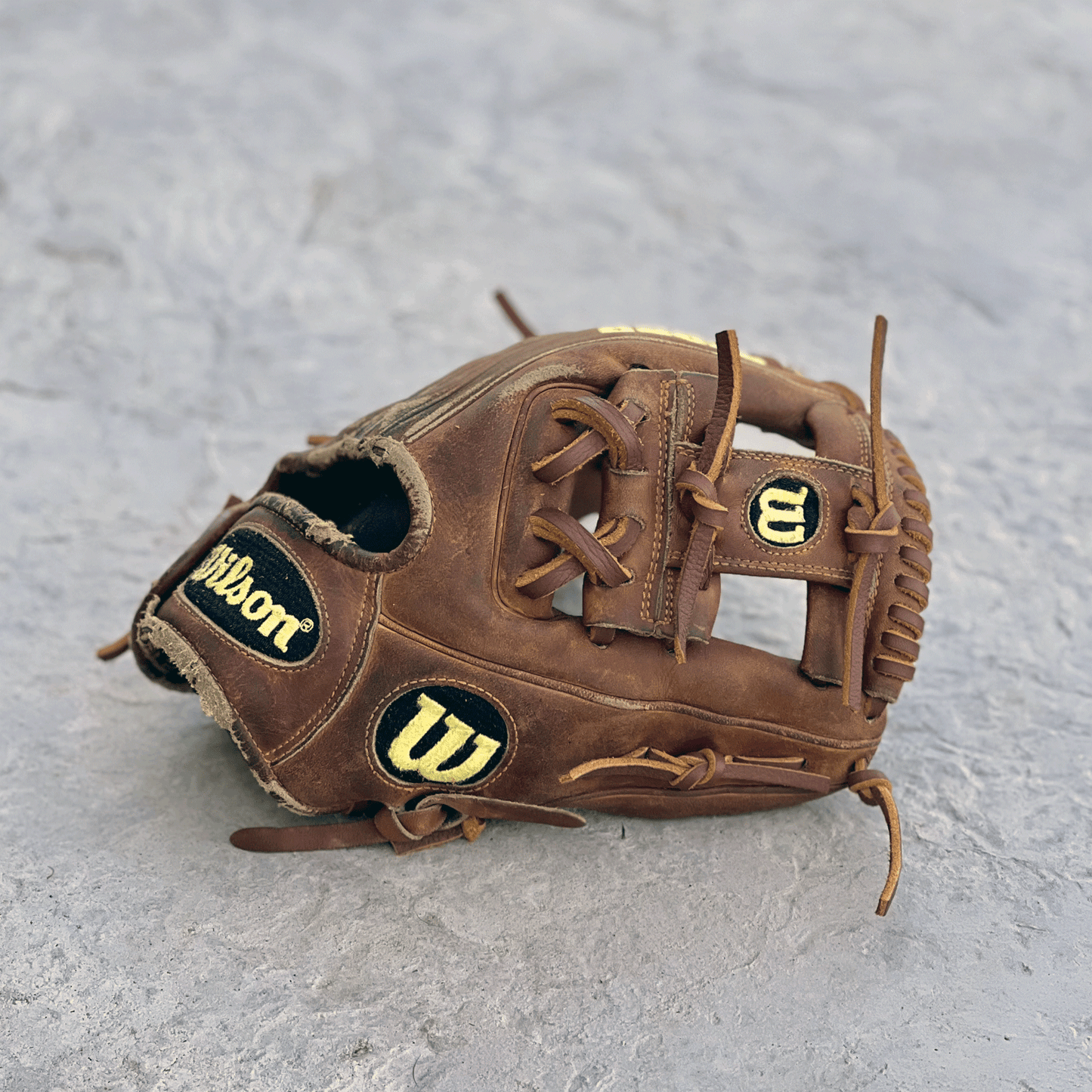 Cleaning & Conditioning