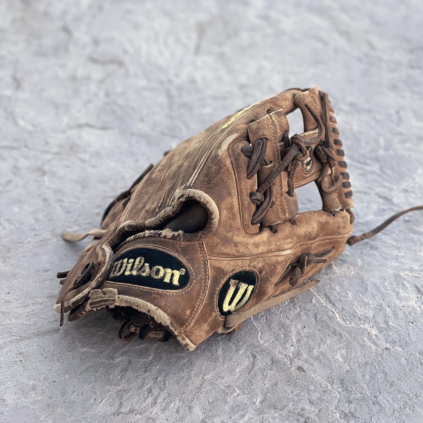 Cleaning & Conditioning