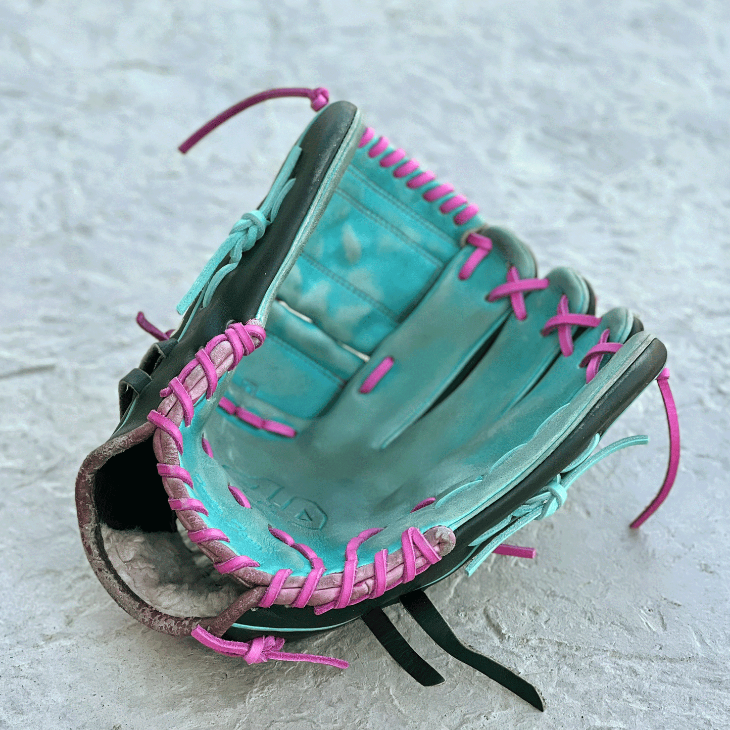 Cleaning & Conditioning